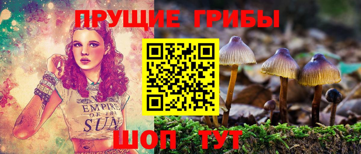 Галлюциногенные грибы мицелий  купить наркотики цена  Ленинск-Кузнецкий  Псилоцибиновые грибы MAGIC MUSHROOMS  Вход с VPN 