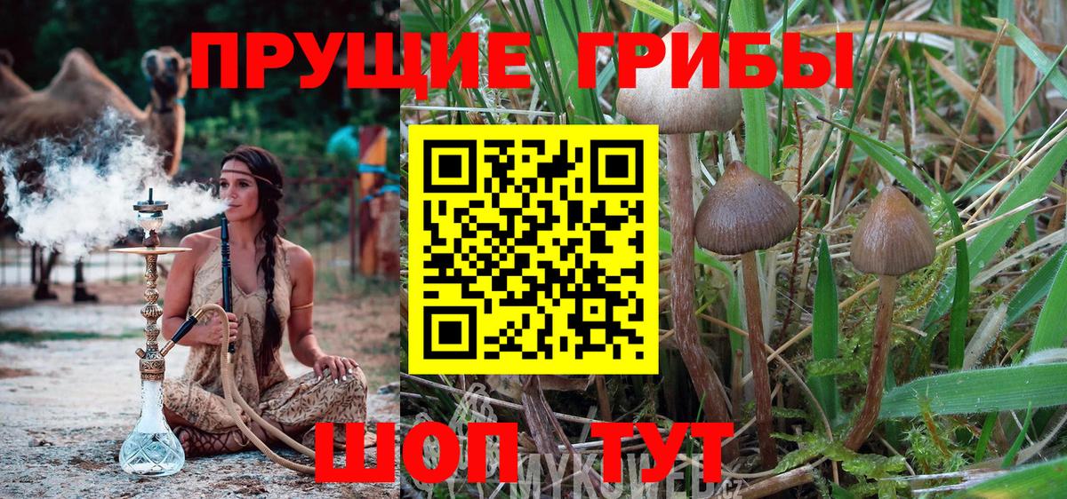 Галлюциногенные грибы ЛСД Ленинск-Кузнецкий